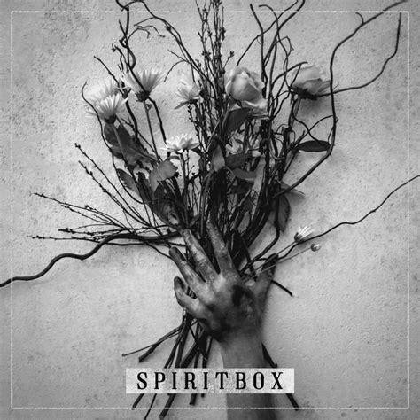 what genre of metal is spirit box|spiritbox self titled.